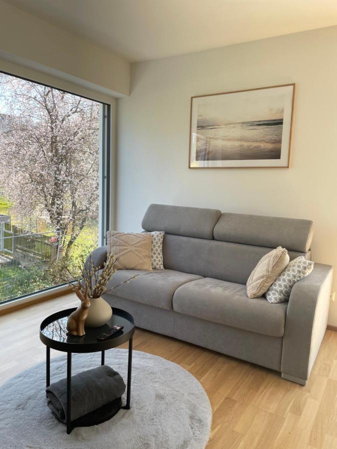 Luxury - Apartment Mit Balkon In Seenaehe Gmunden Exterior foto